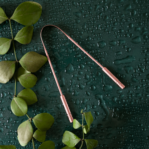 Copper Tongue Cleaner