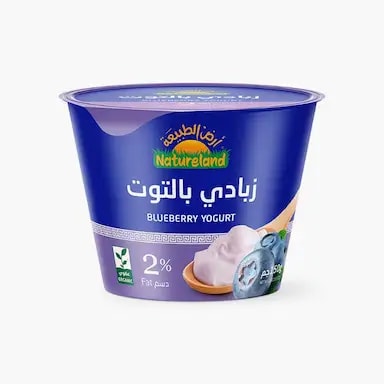 زبادي التوت الأزرق (150g)