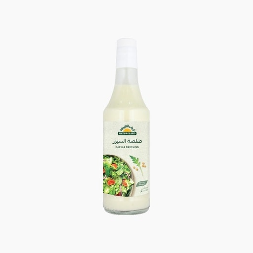 Caesar Dressing (500 g)