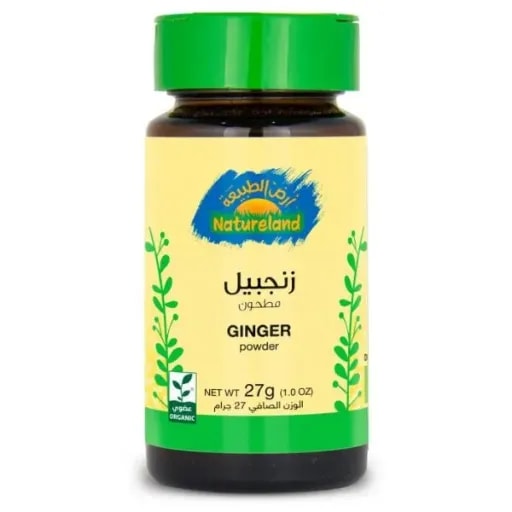 Ginger Powder (27 g)