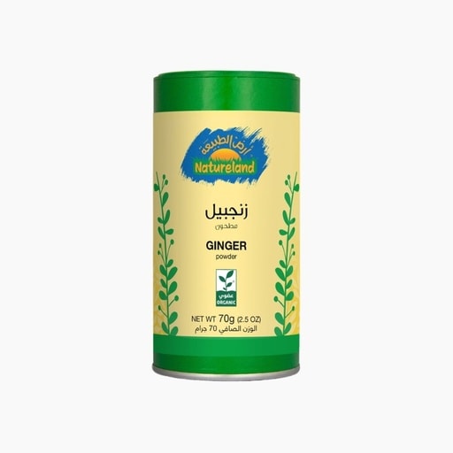 Organic Ginger Ground (70 g)