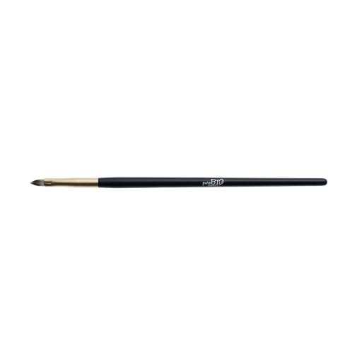 Brush N? 6, Lip Brush