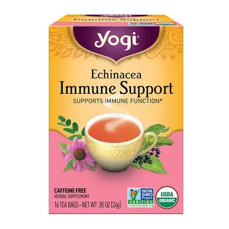 Echinacea Immune Support, Caffeine Free, 16 Tea Bags (24 g)
