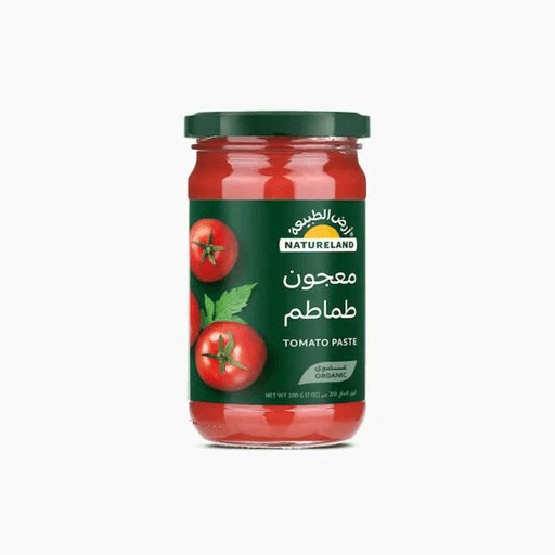 معجون طماطم (200 g)