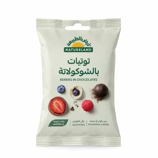 Berries in Chocolate (45 g)