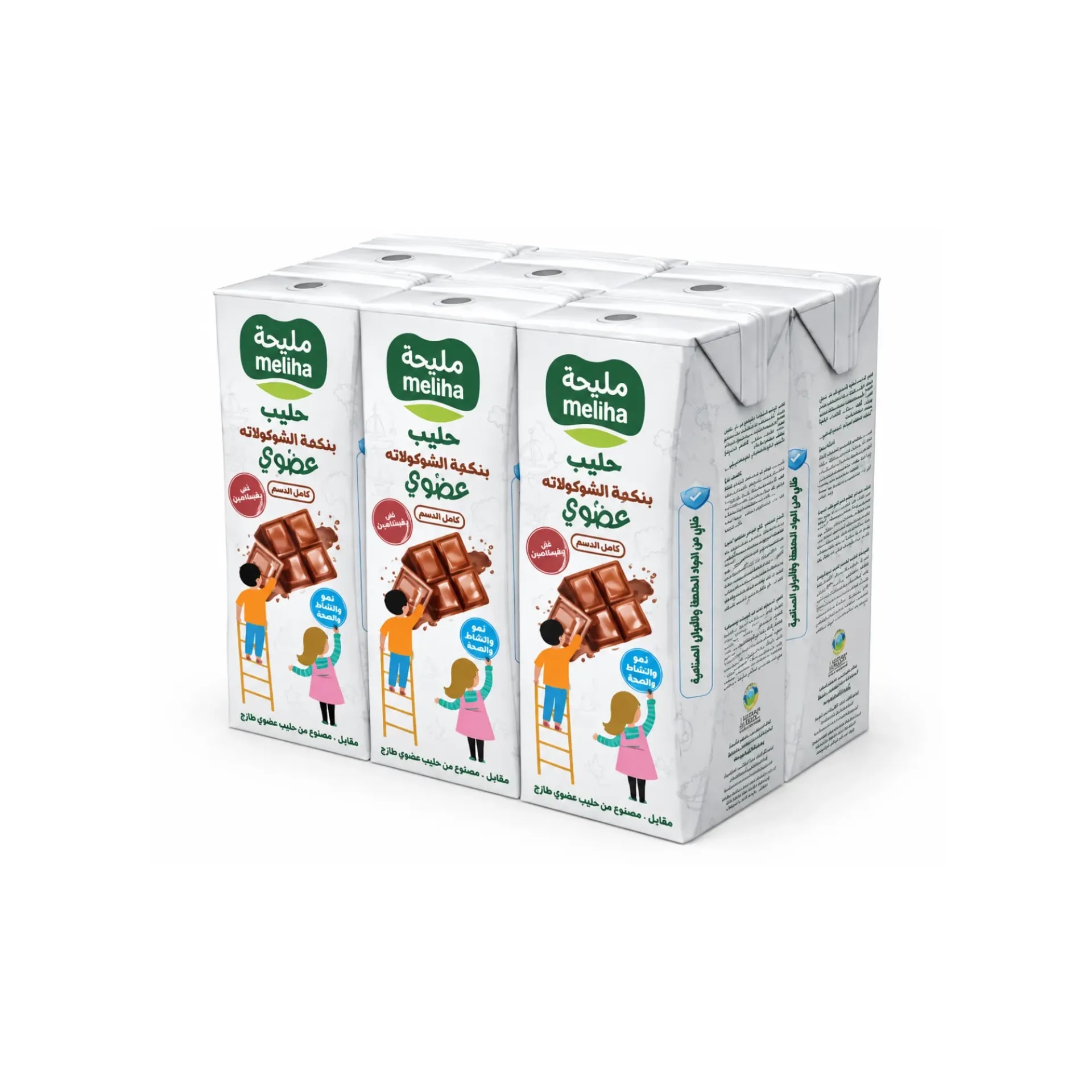 Organic Chocolate A2A2 Milk (6 X180 ml)