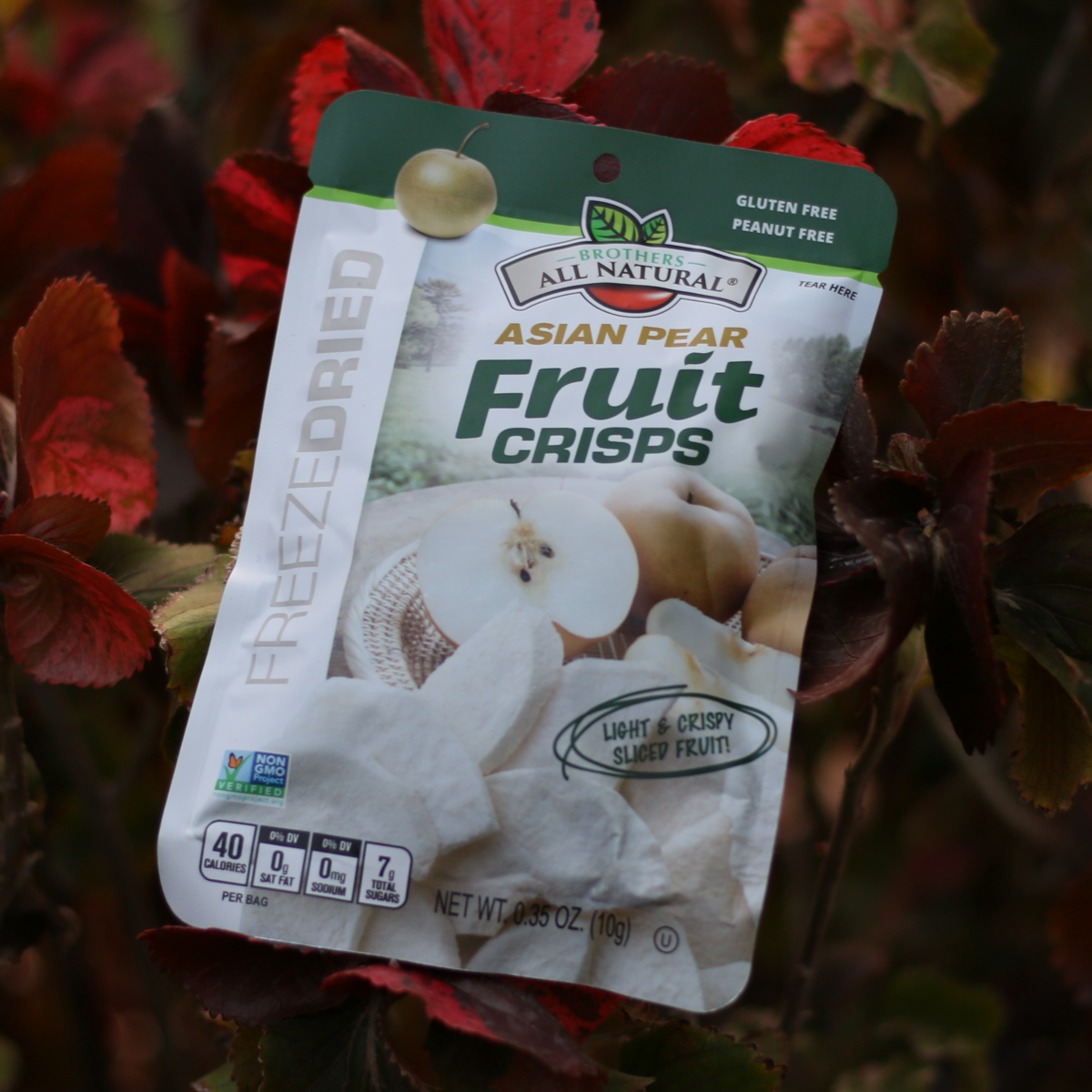 pear dried fruits Brothers-All-Natural, Freeze-Dried Fruit-Crisps, Asian Pears (10 g) - Image 1
