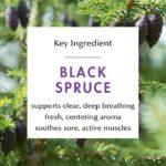 Kuumba Made, Roll-On Aromatherapy, Breathe (10 ml) - Image 5