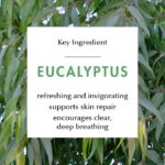 Kuumba Made, Roll-On Aromatherapy, Breathe (10 ml) - Image 6