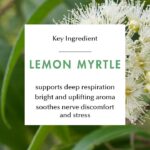 Kuumba Made, Roll-On Aromatherapy, Breathe (10 ml) - Image 4