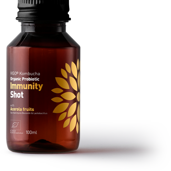 Vigo, Kombucha Immunity Shot (100 ml)